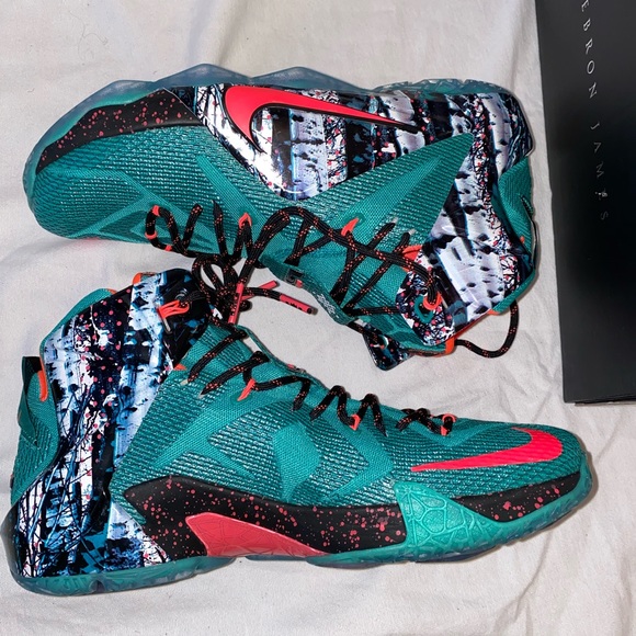 Other - LeBron 12